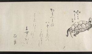 Eller. 14872, f.29, En skildpadde, fra Yoshida Seisai (håndscroll) af Japanese School