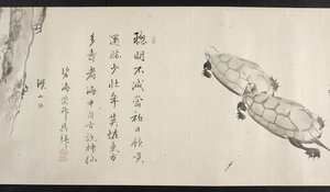 Eller. 14872, f.36, To skildpadder, fra Yoshida Seisai (håndscroll) af Japanese School