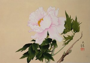 Peony, pub. 1950 af Japanese School