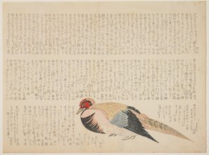 Fasan, ca. 1818-29 (træblok i farver) af Japanese School