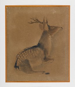 Liggende hjorte (blæk & sepia på papir) af Japanese School