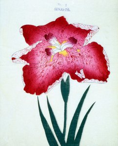 Med Senjo. 5, 1898 af Japanese School