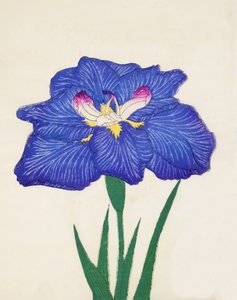 Cigarer. - Tilbagebølge, af. 3, 1898 af Japanese School