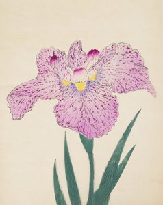 Tanka-No-Koe, nr. 15, 1890 (træblok i farver) af Japanese School