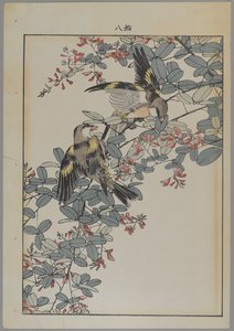 To fugle med lyserøde blomster, Meiji-perioden, ca. 1868-1912 (træblok i farver) af Japanese School