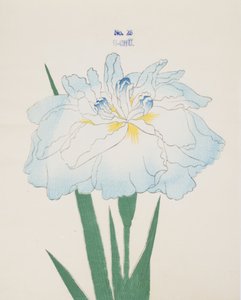 Hmmm, af. 25, 1898 af Japanese School