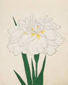 Ujaku-No Nagisa. 61, 1890 af Japanese School
