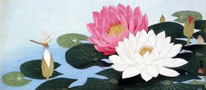 Åkander og guldsmede - japansk print af Japanese School
