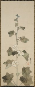 Hvide stokroser, Edo-perioden, 1615-1868 (blæk, farvetone og guld på papir) af Japanese School