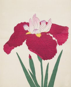 Yamamatayama, nr. 83, 1890 (træbloktryk i farver) af Japanese School