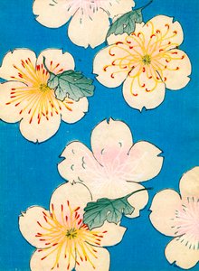 farve træblok print af Dogwood Blossoms af Japanese School