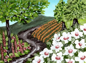 Vingårdssti med blomster