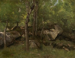 Klipper i skoven Fontainebleau