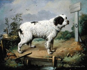 Et Newfoundland på en dæmning af Jean Baptiste Desgrange