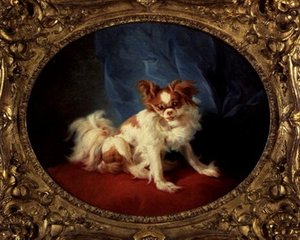 Den lille favorit af Jean Baptiste Huet