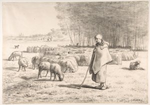 En hyrdinde med sin flok