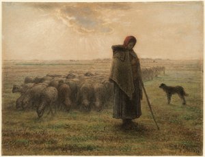 Hyrdinde og hendes flok