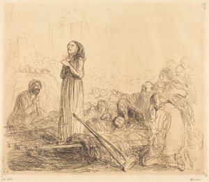 Lourdes, den mirakuløse (første planche)