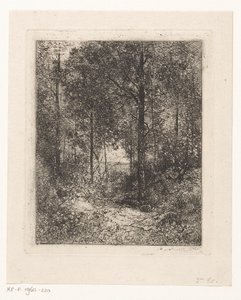 skov udsigt