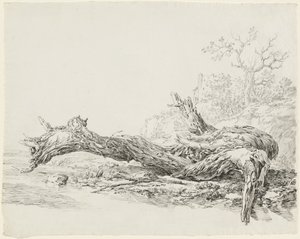 Et ældgammelt træ faldet ved siden af en vandløb af Jean Antoine Constantin