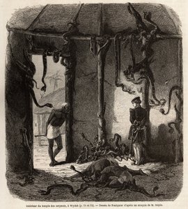 Inde i templet af feticheslanger, i Wydah, i Dahomey (nuværende Benin), tegning af Jean Antoine Foulquier (1822-1896), for at illustrere Dr. Repins rejse til Dahomey i 1860. Indgravering i "" Le tour du monde" ”, redigeret af Edouard Charton