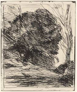 Bäume an einem Berghang