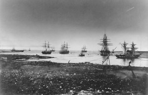Krimkrigen, fransk eskadron, indsejling i havnen, 1855