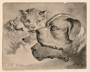 Hoveder af katte og hunde af Jean Baptiste Huet
