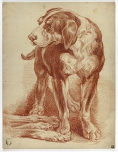 Hund stående af Jean Baptiste Huet
