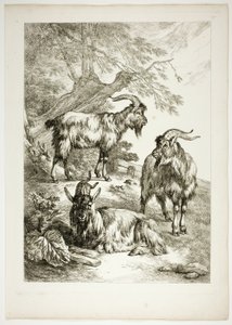 Tavle Sytten af ​​38 fra Oeuvres de J. B. Huet af Jean Baptiste Huet