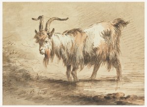 Studie af en ged af Jean Baptiste Huet