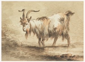 Tegning, studie af en ged, 1772 af Jean Baptiste Huet