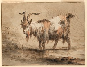 Tegning, studie af en ged, 1772 af Jean Baptiste Huet