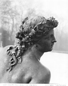 Saone-floden fra Parterre d