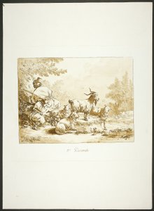 Anden Pastoral