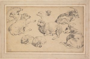 Ark med studier med får, geder og hunde, ca. 1780. af Jean Baptiste Marie Huet