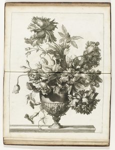 Bloemenvaas Bøger med flere vazes of flowers lavet efter det naturlige (serietitel) af Jean Baptiste Monnoyer