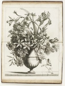 Bloemenvaas Bøger med flere vazes of flowers lavet efter det naturlige (serietitel) af Jean Baptiste Monnoyer