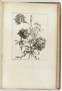 Bundet buket Les Petits Bouquets (serietitel) af Jean Baptiste Monnoyer