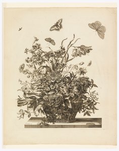 Tallerken 10, fra sæt med blomster i en kurv af Jean Baptiste Monnoyer