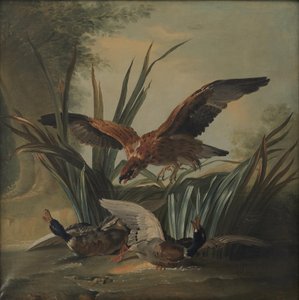 En høg, der slår på et par ænder af Jean Baptiste Oudry