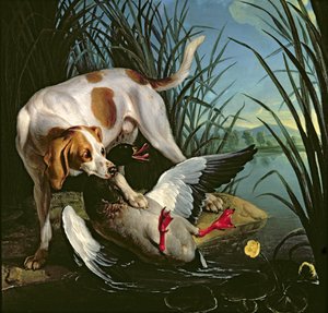 Hund med en vildand