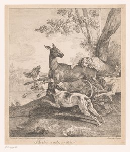 Hjorte angrebet af jagthunde Arrêtés, grusomme, arrêtez (...) (titel på objekt) Jagtscener (serietitel) af Jean Baptiste Oudry