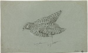 Agerhøne af Jean Baptiste Oudry