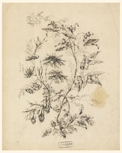 Tegning, gren af et fantastisk træ, 1775-1800