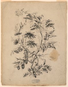 Tegning, gren af et fantastisk træ, 1775-1800 af Jean Baptiste Pillement