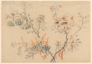 Tegning, blomstrende grene, 1775-1800 af Jean Baptiste Pillement