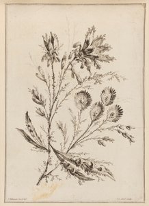 Blomstergren af Jean Baptiste Pillement