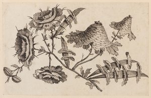 Flower Bough, fra "Chinese Flower Collection" af Jean Baptiste Pillement