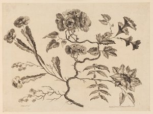 Blomstergrene, fra "Samling af forskellige fantasiblomster i kinesisk smag" af Jean Baptiste Pillement